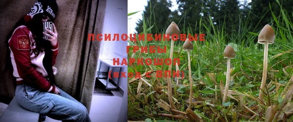 меф Нягань