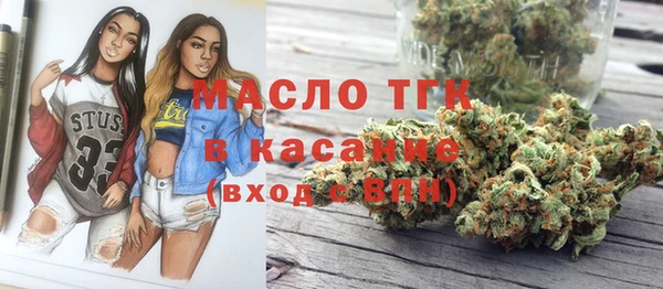 гашик Осташков