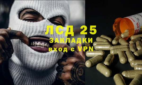 сатива Осинники