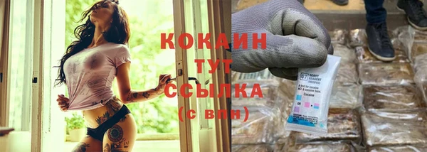 сатива Осинники