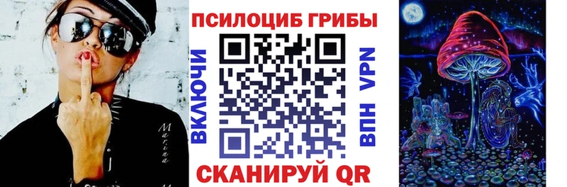 Галлюциногенные грибы ЛСД Петровск-Забайкальский