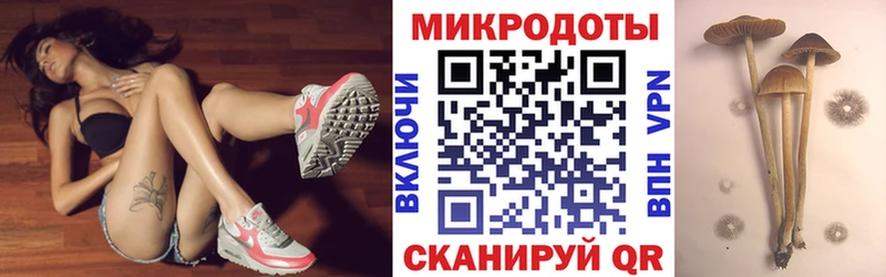 Галлюциногенные грибы мицелий  купить наркотики цена  Петровск-Забайкальский 